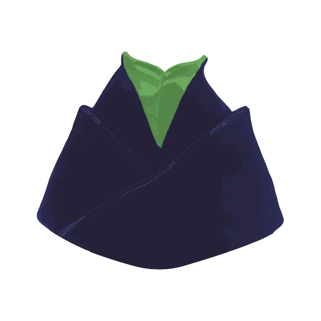 calot tradition infanterie métropolitaine